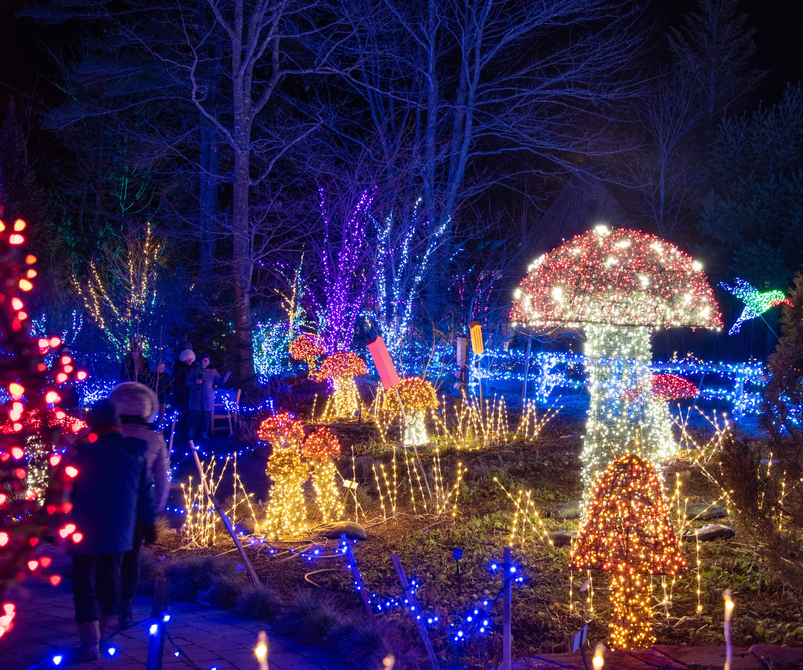 Gardens Aglow – A Dazzling Holiday Scene in Boothbay Harbor, Maine