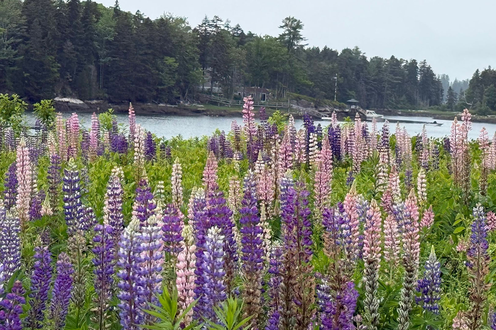 Maine’s Most Beautiful Fall Escape? Why Everyone Is Booking Boothbay Harbor Before Peak Foliage